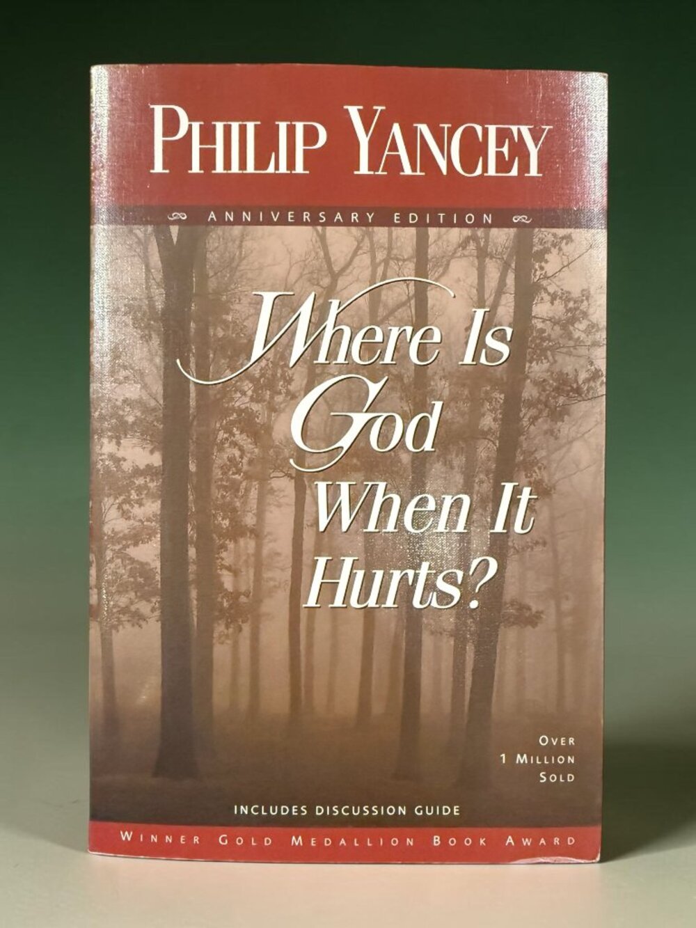 Where is God When it Hurts? - NEW